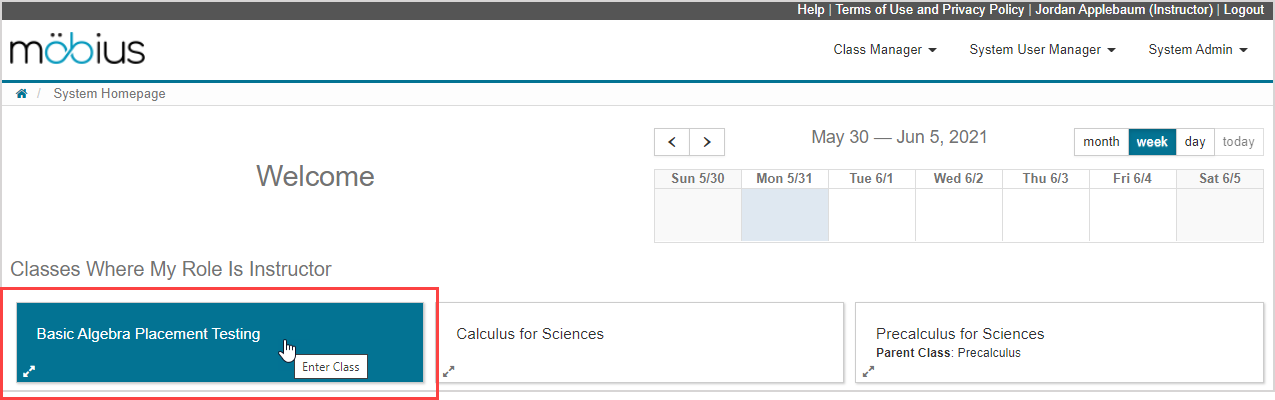 The Basic Algebra Placement Testing class is highlighted with a cursor on the System Homepage.