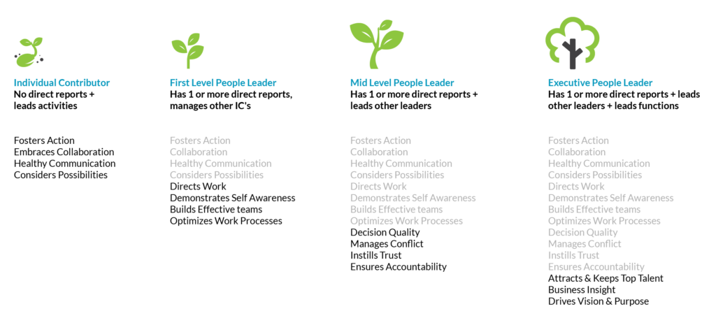 Chart showing our tiers of leadership: individual, first level, mid level, and executive, and various skills we value.
