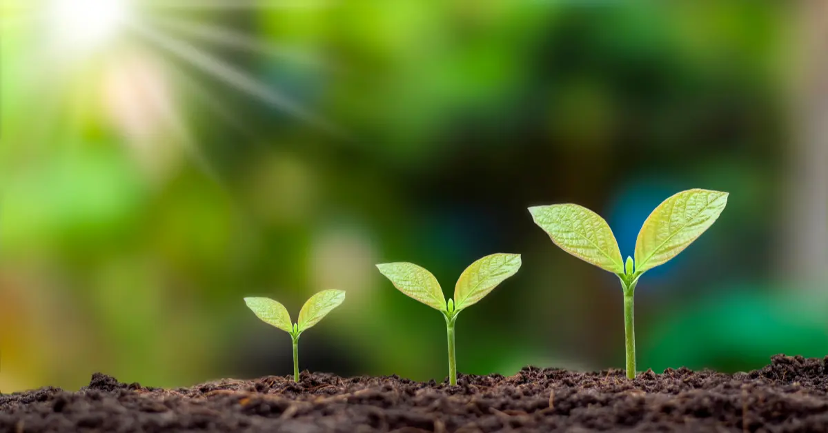 growth mindset in educationgrowth mindset in education